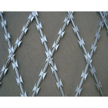 Good Price for Galvanized Razor Barbed Wire